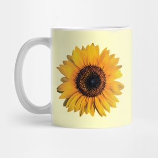 Big Sunflower Blooming Mug